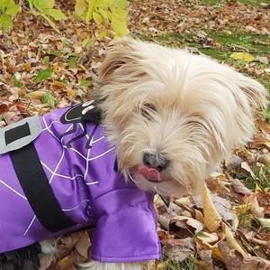 Meet your Posher, Donna